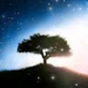 Meet your Posher, Evan